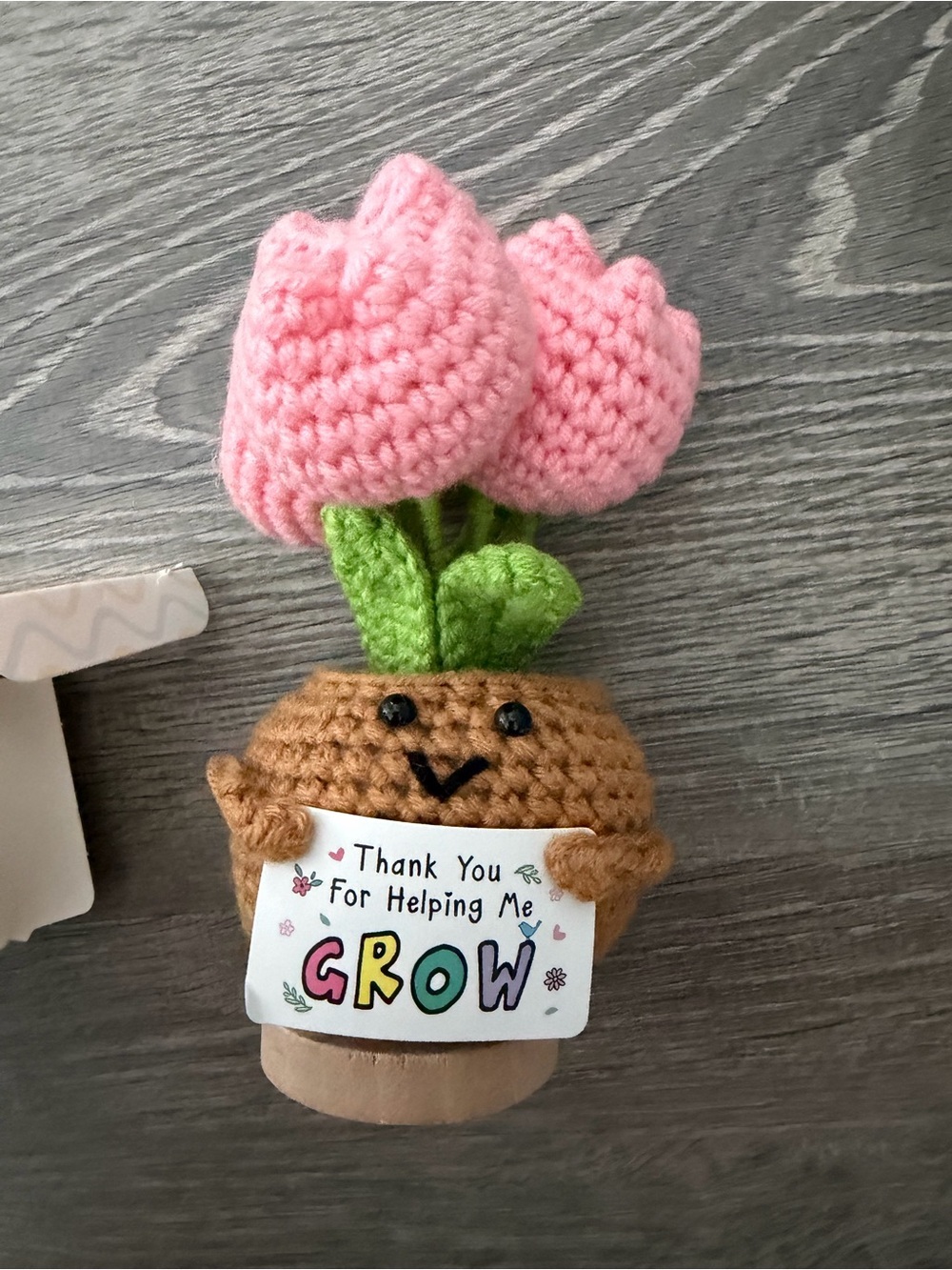 Crochet Flower Thank You for Helping Me Grow